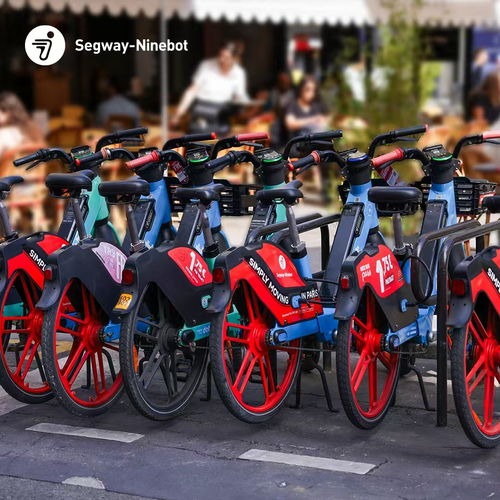 九號公司上半年業(yè)績創(chuàng)新高,實現(xiàn)營收66.66億元